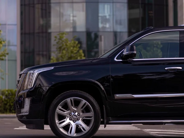 WhatsApp-Image-2025-10-14-at-13.19.47-_1_