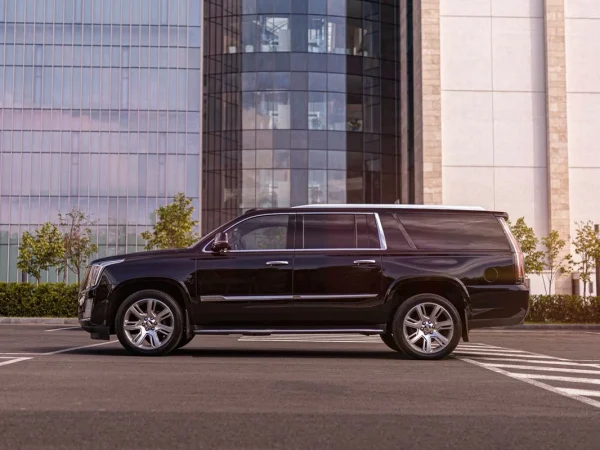 WhatsApp-Image-2025-10-14-at-13.19.47-_2_