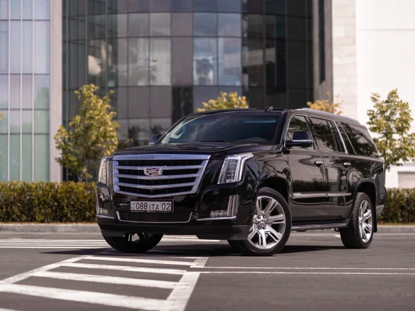 WhatsApp-Image-2025-10-14-at-13.19.49