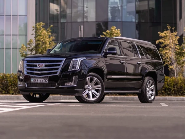 WhatsApp-Image-2025-10-14-at-13.19.50-_1_